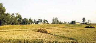 ३२ बिघाको नक्कली धनी, सहसचिवसहित १३ विरुद्ध मुद्दा