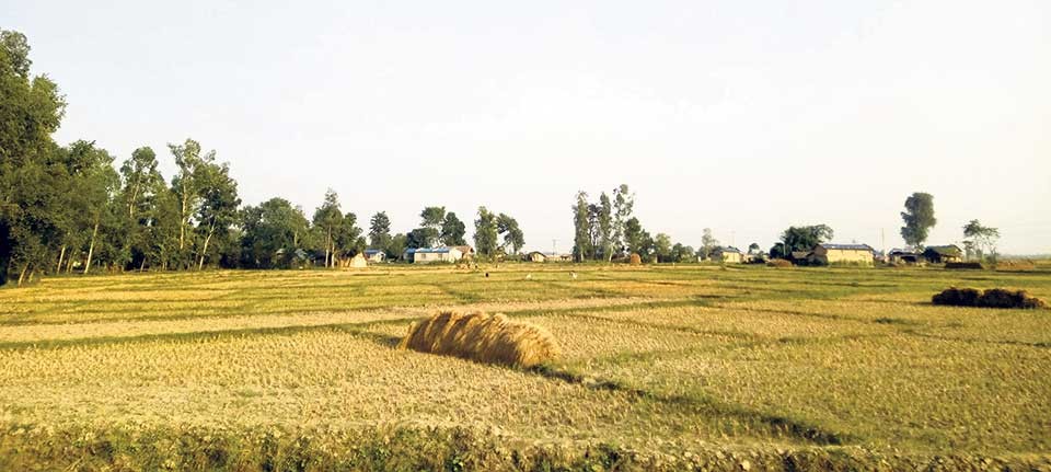 ३२ बिघाको नक्कली धनी, सहसचिवसहित १३ विरुद्ध मुद्दा