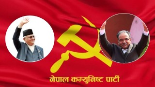रवाफमा रहेका नेकपा सांसद काँग्रेससँग भिडे, सभामा उथलपुथल