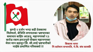 महानगरको १३ करोड गायव, फिर्ता नगरे आन्दोलन गर्ने नेविसंघकाे चेतावनी