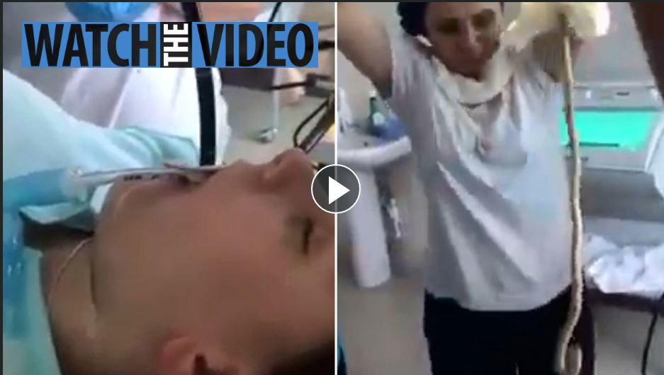 सुतिरहेकी महिलाको मुखभित्र ४ फिट लामो सर्प पसेपछि... (भिडियाे)