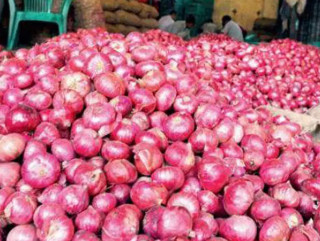 भाेलिदेखि सरकारले ६० रुपैयाँ किलाे प्याज बेच्ने