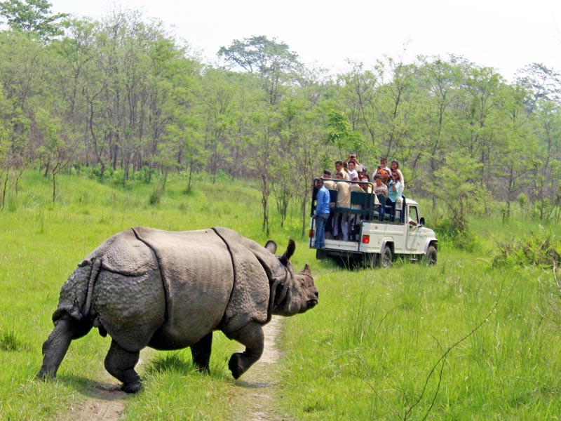 Bardiya National Park allows safari