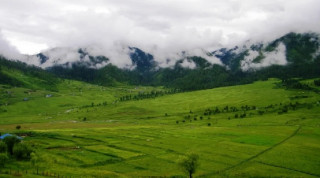 सुदूरपश्चिमकै बढी पशुबलि हुने क्षेत्र सिल