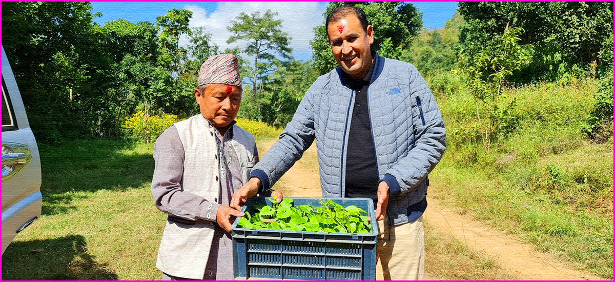  महामारीमा पनि जनताको साथमा कांग्रेस नेता खतिवडा, गाउँगाउँमा गुर्जो बाँड्दै 