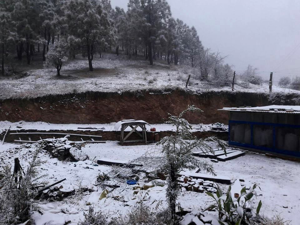 व्यासमा हिमपातः  चिसो ह्वात्तै वृद्धि