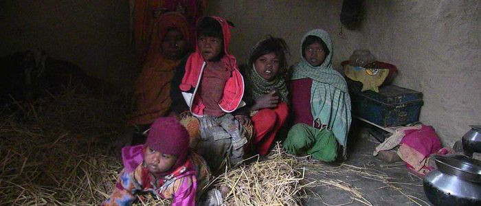 देशभर चिसो बढ्यो, काठमाडौंको ताफक्रम ३ डिग्री