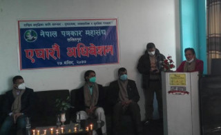 केपी ओलीविरुद्ध उत्रिइन नेकपाकै सांसद पम्फा भुसाल