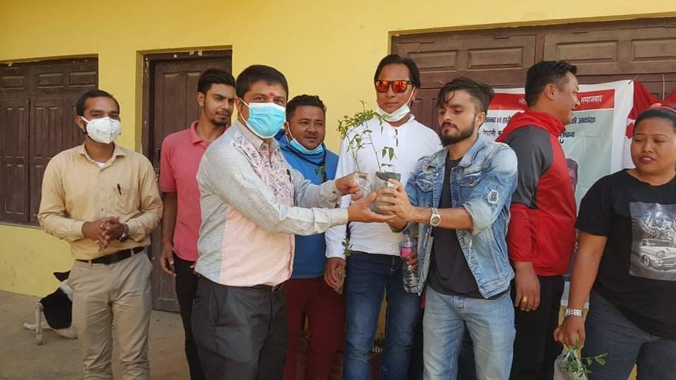 सर्वसम्मत क्षेत्रीय प्रतिनिधि बनेपछि कांग्रेसको चुनाव चिह्न रुखका बिरुवा बाँड्दै अमृत वोस्ती