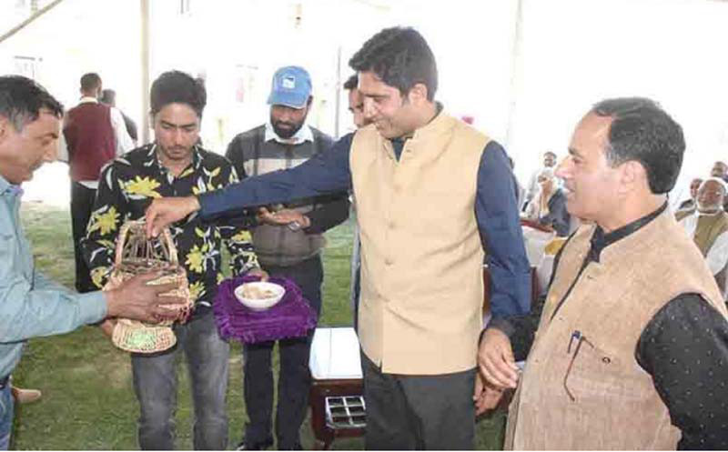 जम्मू काश्मीर: स्पाइस पार्क पम्पोरमा ट्यूलिप महोत्सव सुरु 
