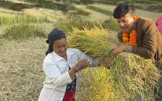ललितपुर १ मा एमालेका सिलवाललाई आपत, सुटबुट लाएर मतदाता फकाउन धानखेतमै पुगे