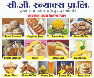 चौधरी ग्रपद्धारा पश्चिम नवलपरासीमा केरामा आधारित उद्योग दर्ता,  त्रिपाठीद्वारा उद्योग शिलान्यास गर्न अवरोध !