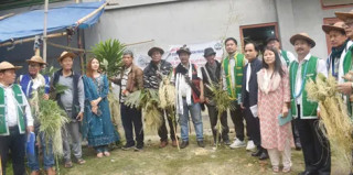 पुजारीहरूद्वारा बिरुवाका प्रजातिहरूको प्रर्दशन 