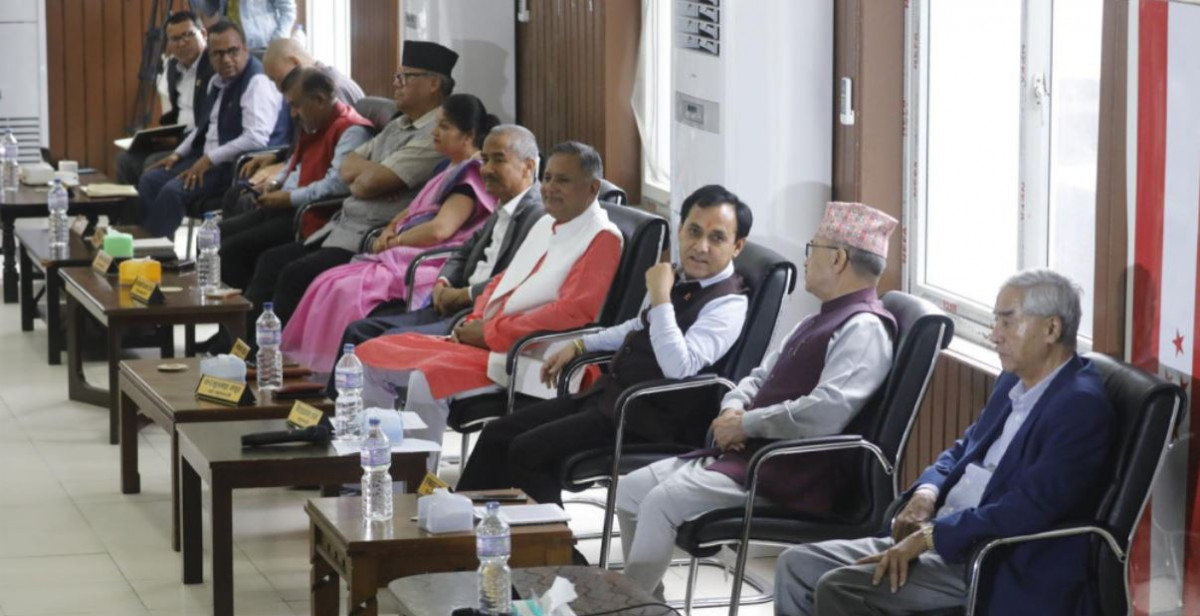 कांग्रेसको व्यवसायिक सिप विकास विभागमा १० सदस्य मनोनित