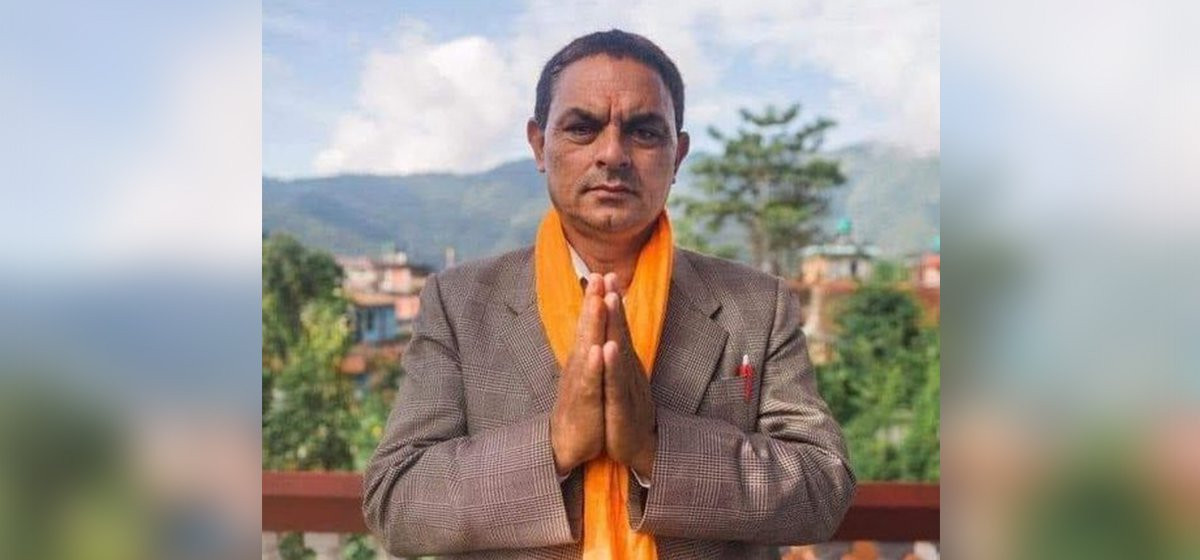 बाँदर नियन्त्रणका लागि रुख काट्न आह्वान गर्ने पोखराका वडाध्यक्षको सूचना भाइरल