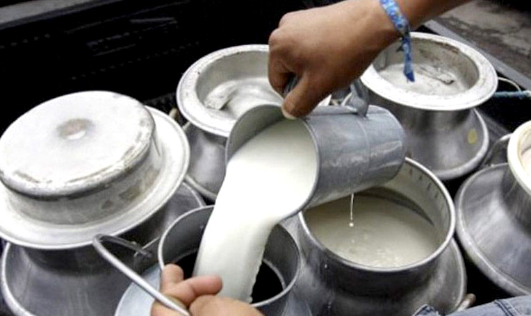 रौतहटका दुध उत्पादक किसानले आज देखि आन्दोलनमा