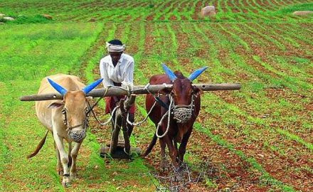 भारतमा कृषि उत्पादन बढ्ने आरबीआईको अनुमान