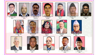 कांग्रेसले प्रतिनिधि सभाको प्रत्यक्षमा जित्यो १७ सिट, को कहाँबाट ?